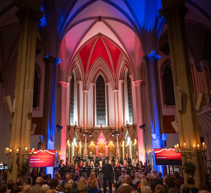 Audience view of a Horizons concert